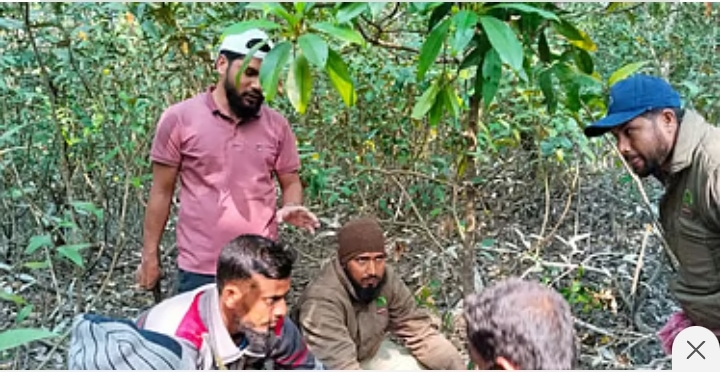 সুন্দরবনে মৃত্যুফাঁদ, অভিযানে প্রাণ ফিরে পেল হরিণ