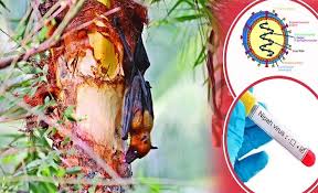  ঐতিহ্য যখন মরণফাঁদ