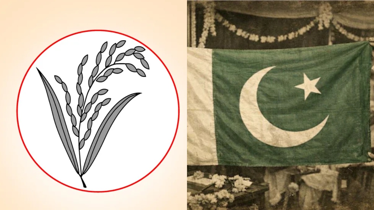 বিএনপির জয়ে ইসলামাবাদের অভিনন্দন বার্তা